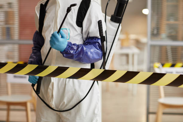 Professional Sewage Cleanup technician working in Coarsegold, CA